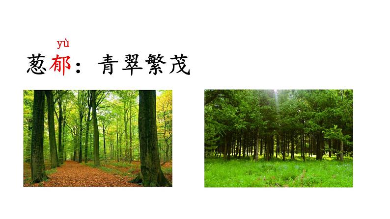 部编版二年级语文下册--8 彩色的梦(精品课件1)第8页