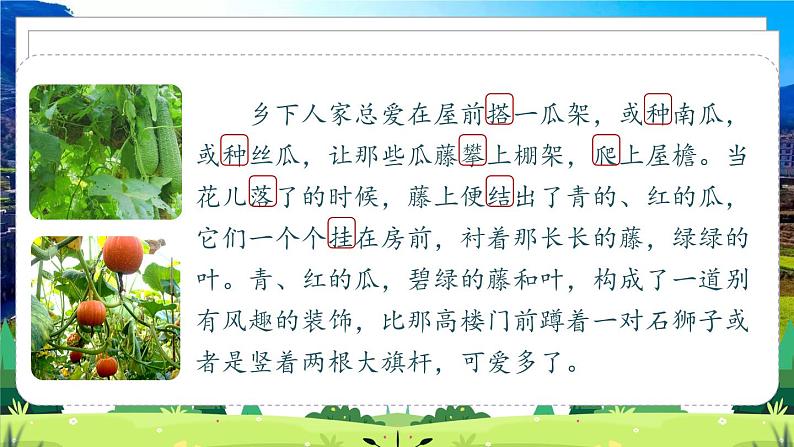 部编版语文四年级下册 第1单元 2《乡下人家》 课件+教案+练习03