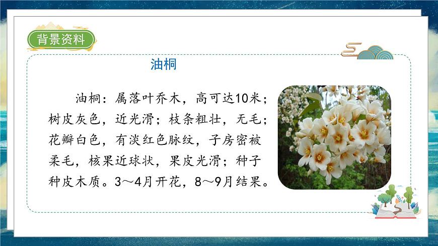 17《記金華的雙龍洞》課件第6頁