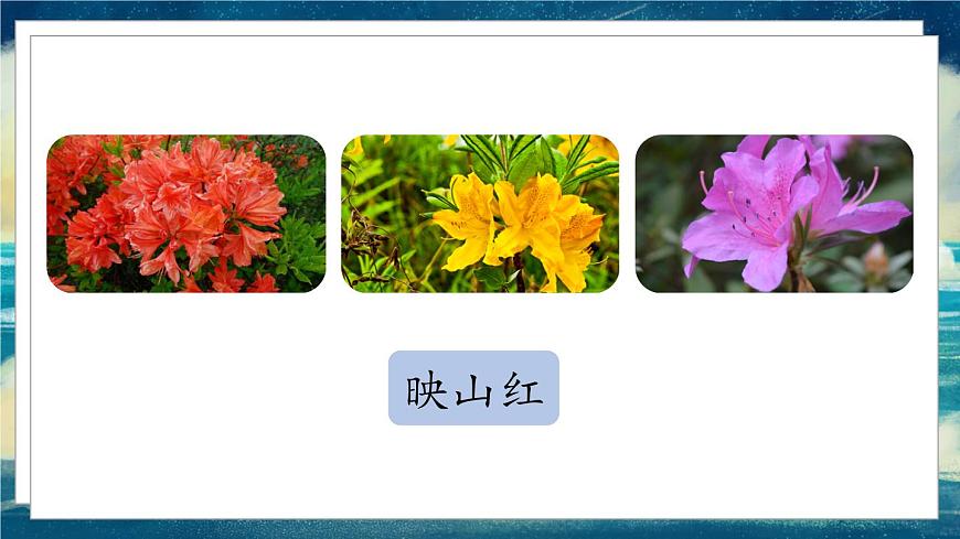 17《記金華的雙龍洞》課件第8頁