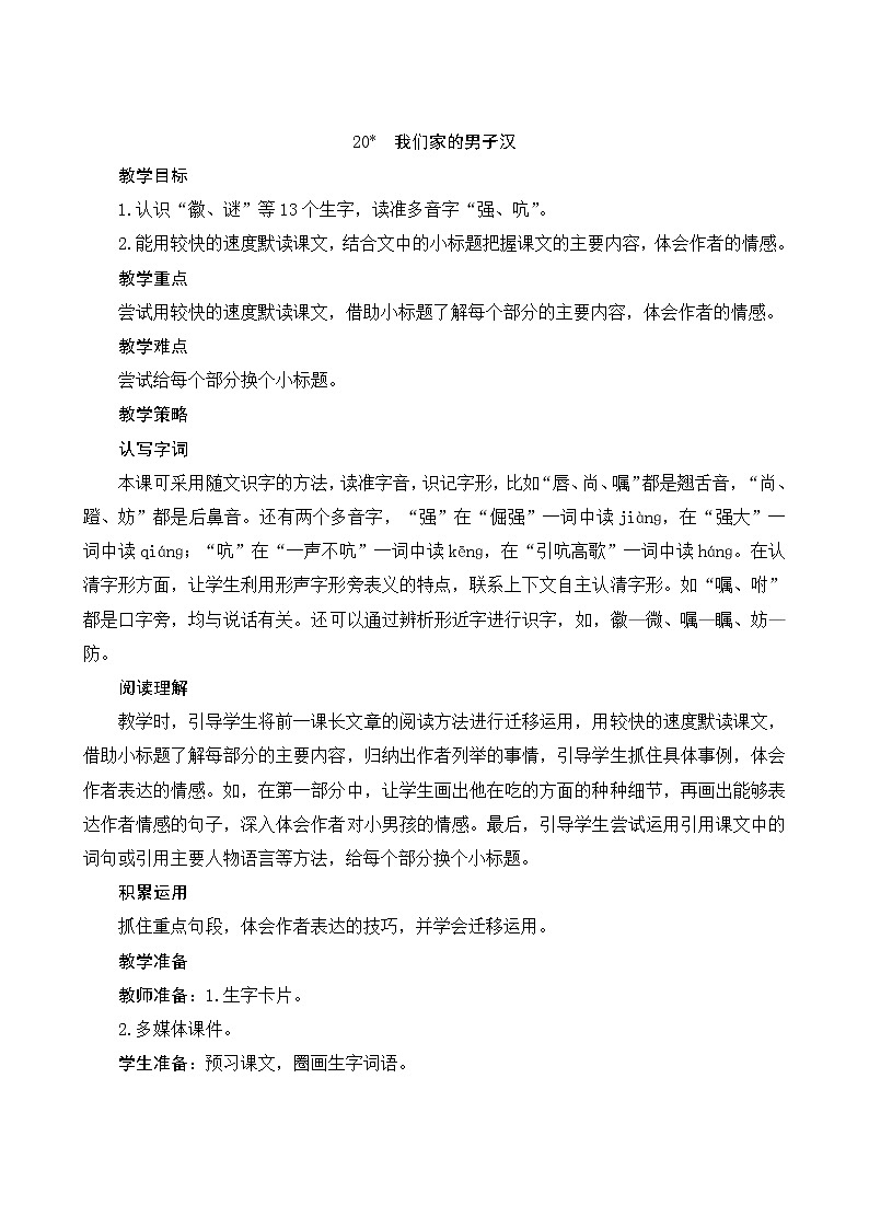 20《我们家的男子汉》教案第1页