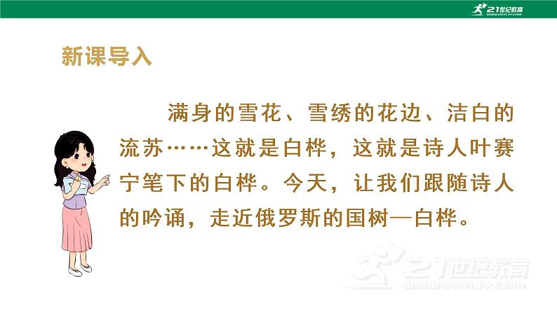 (教学课件)11白桦-人教版四年级语文下册第三单元第2页