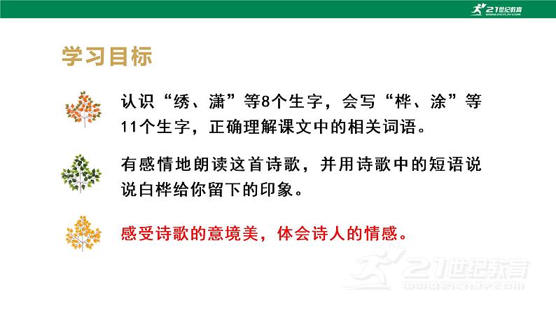 (教学课件)11白桦-人教版四年级语文下册第三单元第6页