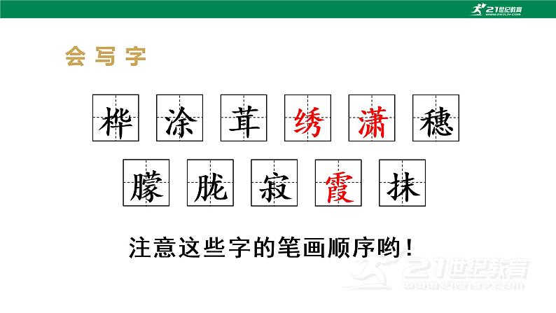 (教学课件)11白桦-人教版四年级语文下册第三单元第8页