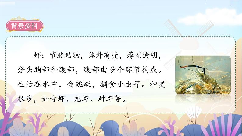 人教三下15.小虾课件PPT04
