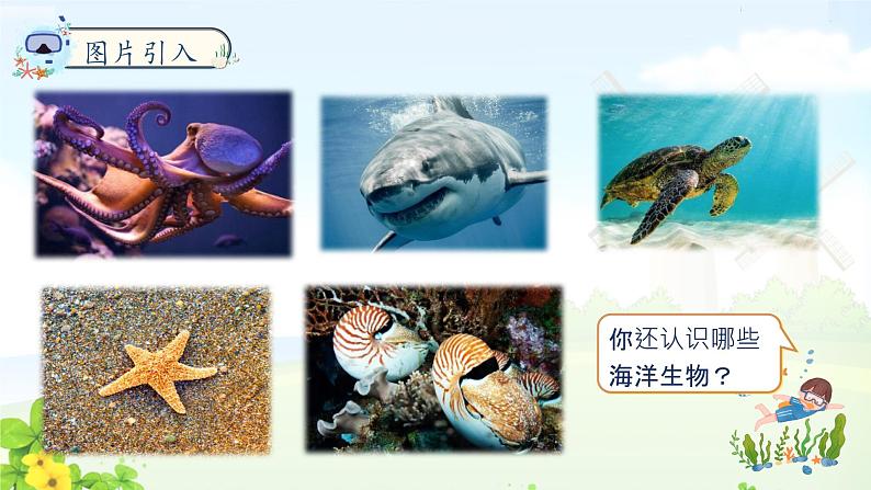 三下23《海底世界》第一课时课件PPT第4页