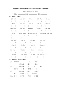 期中拼音生字专项冲刺卷-2022-2023学年语文六年级下册（部编版）