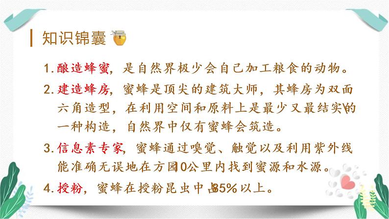 (教学课件)14蜜蜂第1课时-人教版语文三年级下册第四单元04