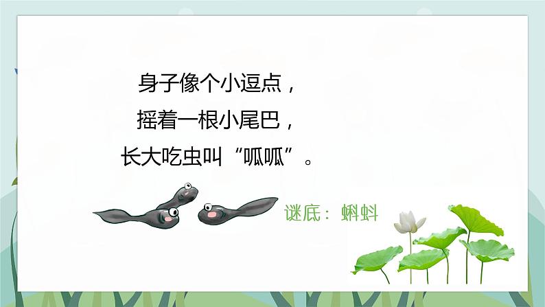 1 小蝌蚪找妈妈(课件)二年级上册语文 部编版第4页