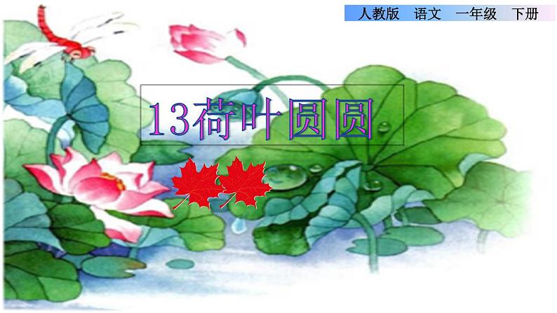 部编版一年级语文下册--13.荷叶圆圆(优质课件)第1页