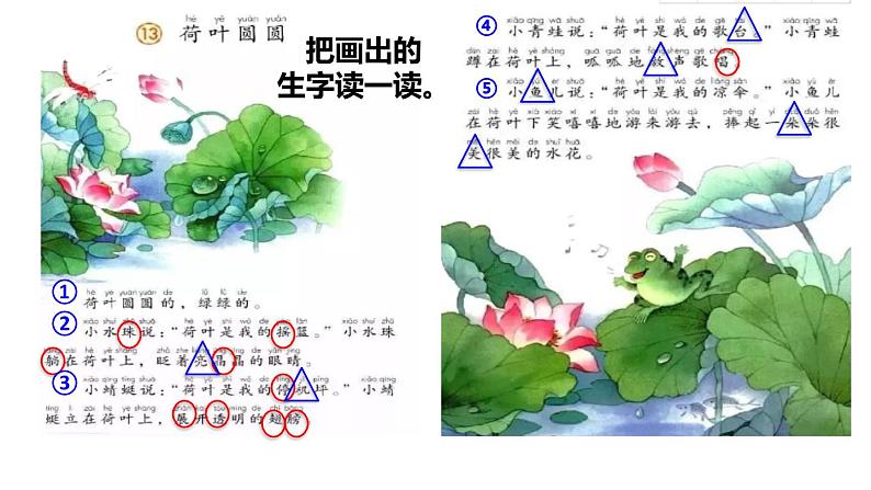 部编版一年级语文下册--13.荷叶圆圆(优质课件)第3页