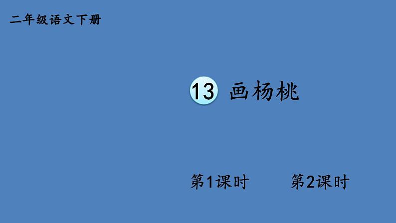部编版二年级语文下册--13 画杨桃(精品课件)第1页