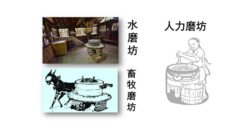 部编版二年级语文下册--14 小马过河(课件)第5页