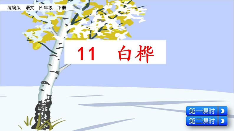 部编版四年级语文下册--11 白桦(精品课件)第1页