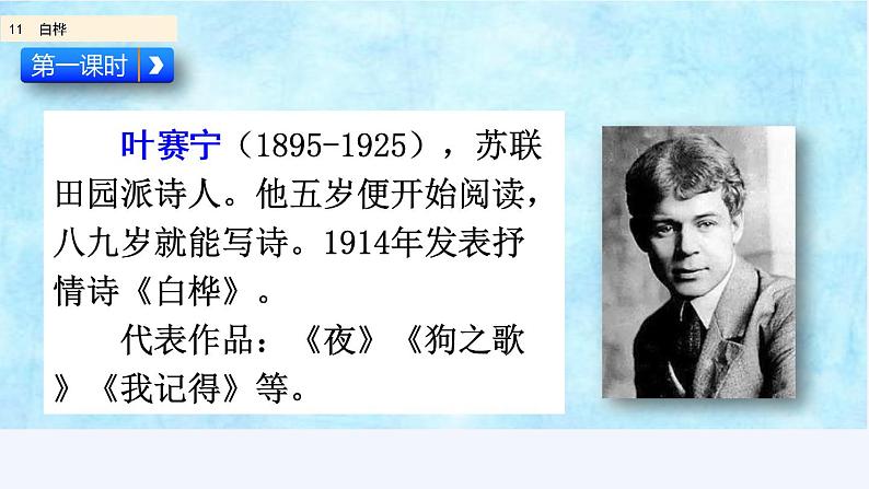 部编版四年级语文下册--11 白桦(精品课件)第2页