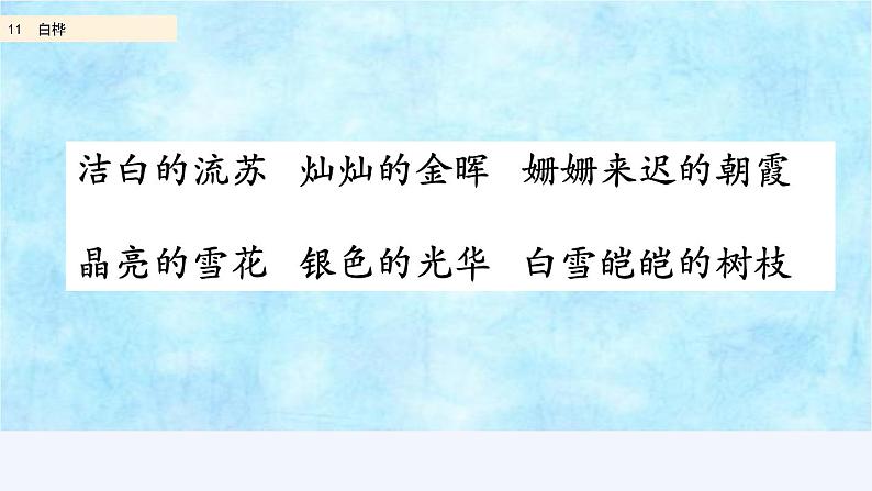 部编版四年级语文下册--11 白桦(精品课件)第4页