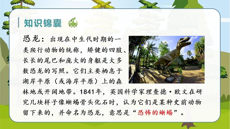部编四下语文6 飞向蓝天的恐龙教学课件04