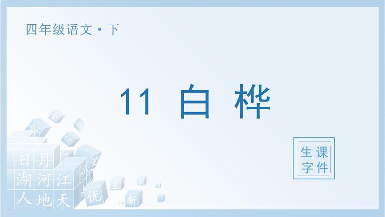 11 白桦生字课件01