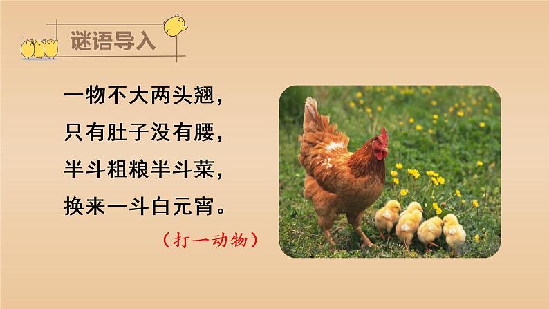 14 母鸡教学课件第1页