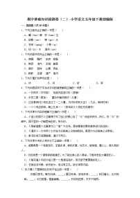 期中基础知识检测卷（二）-2022-2023学年语文五年级下册（部编版）