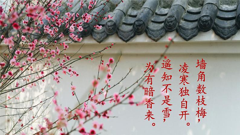 语文部编版4年级下册22课 古诗三首 芙蓉楼送辛渐1课件PPT03