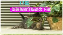 人教部编版四年级下册猫优质课课件ppt