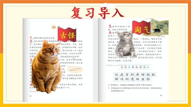 语文部编版4年级下册13课 猫6课件PPT02