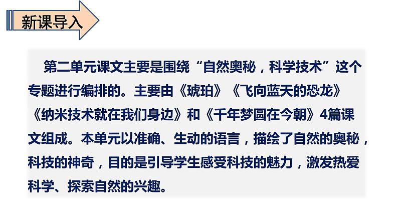 第二单元复习(课件)期中复习 人教版部编版 语文四年级下册第2页