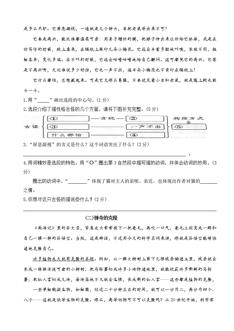 期中测试卷(试题)-部编版语文四年级下册第3页