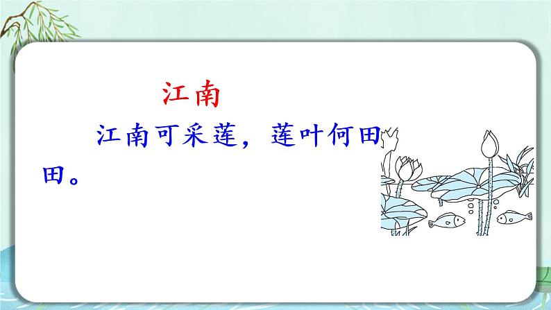 12 《荷叶圆圆》课件第3页