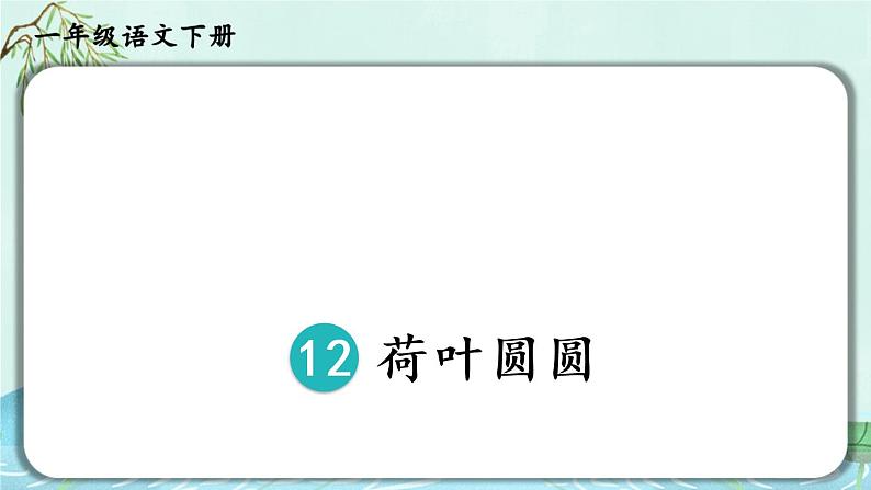 12 《荷叶圆圆》课件第5页