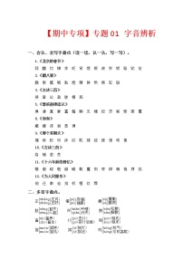 2022-2023学年六年级下册部编版语文期中专题复习学案——专题 01字音辨析（含答案）