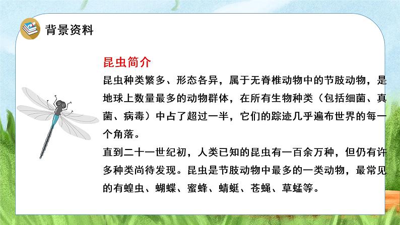 部编版二年级语文下册课件 第四单元 11.我是一只小虫子第6页