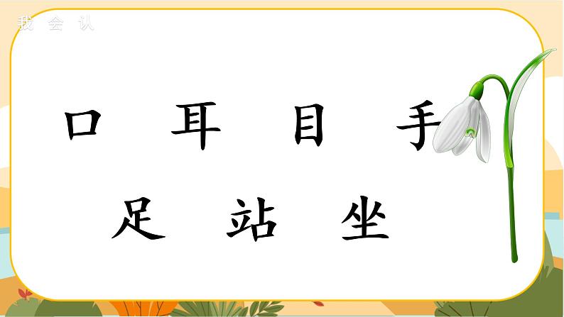 识字3《口耳目》课件PPT04