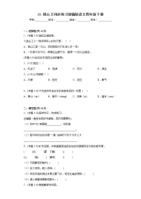 小学人教部编版挑山工精练