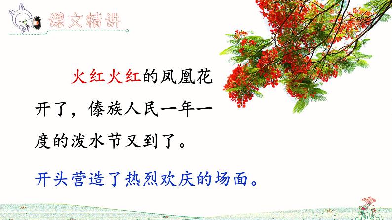 17 难忘的泼水节(第2课时)第3页