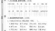 （2023春）人教版（五四制）小学语文（三下）- 第八单元检测题