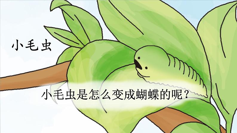 部编版二年级语文下册--22 小毛虫(优质课件1)第2页