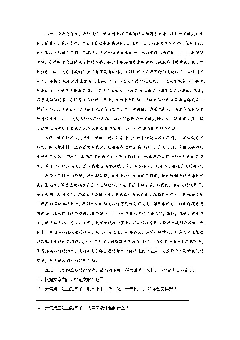 2022-2023学年部编版语文六年级下册小升初专题复习:现代文阅读第3页