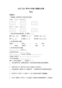 【小升初真題卷】河南省新鄉(xiāng)市封丘縣2021年部編版小升初考試語(yǔ)文試卷（原卷版+解析版）