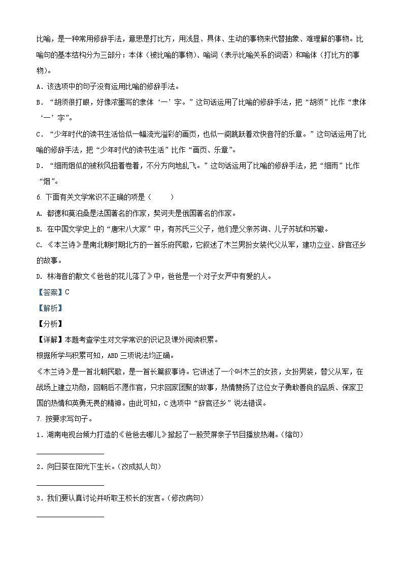 【小升初真题卷】湖南省郴州市永兴县红旗实验小学2021年小升初考试语文试卷(B)(解析版)第3页