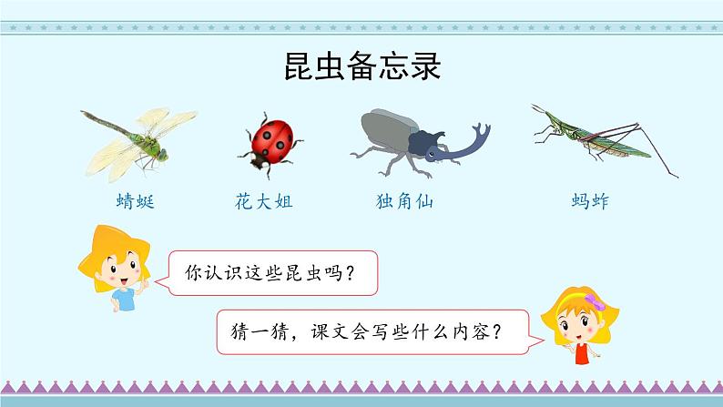 4《昆虫备忘录》部编版语文三年级下册课件PPT02