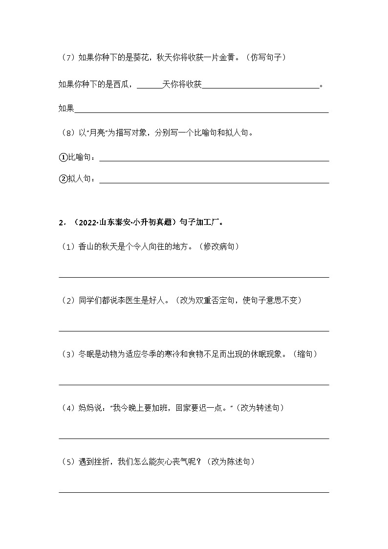 专题04 按要求完成句子练习(原卷版)第2页