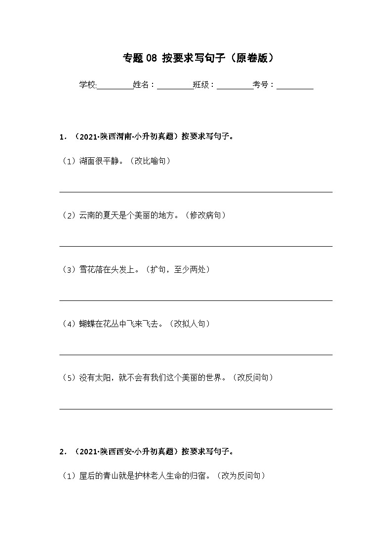 专题08 按要求写句子(原卷版)第1页