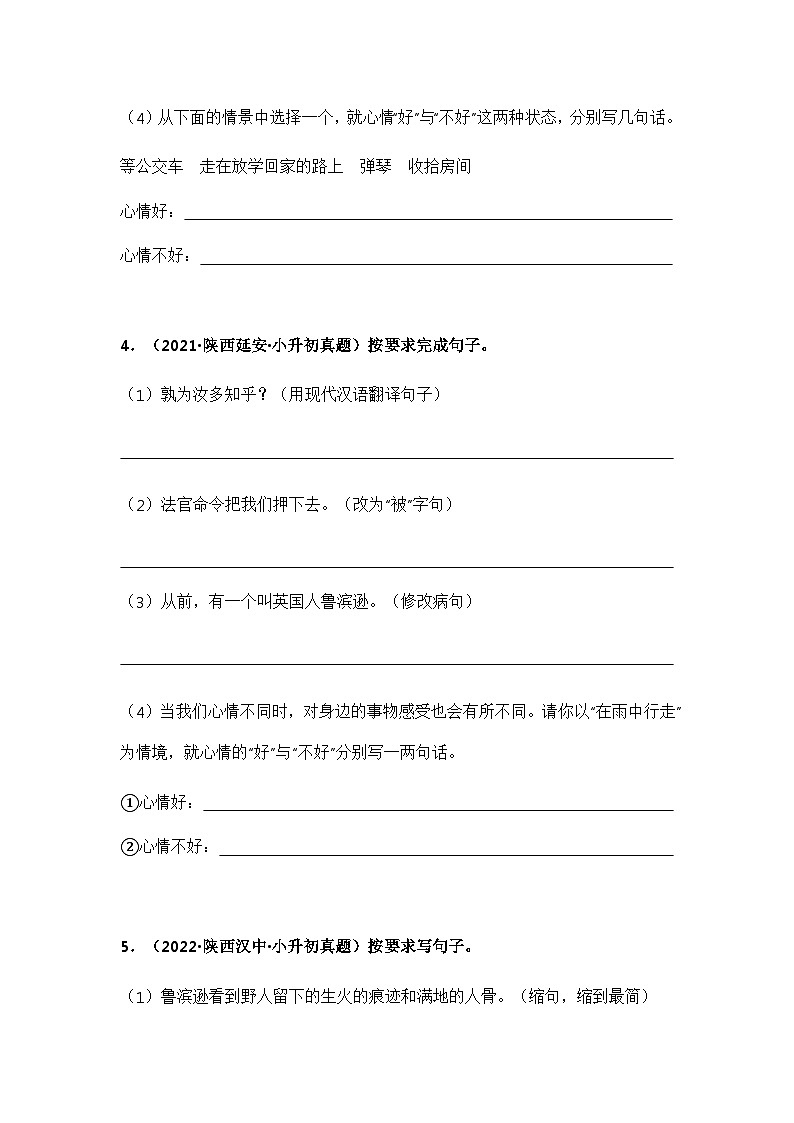 专题08 按要求写句子(原卷版)第3页