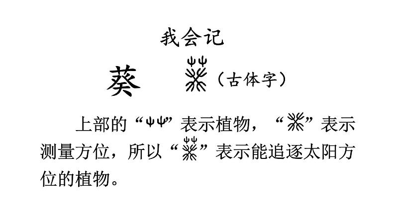 部编版四年级语文下册--26 宝葫芦的秘密(节选)(精品课件)第7页