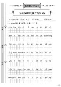 （2023春）济宁专版-人教版小学语文-二下-专项检测题（共8页2套）