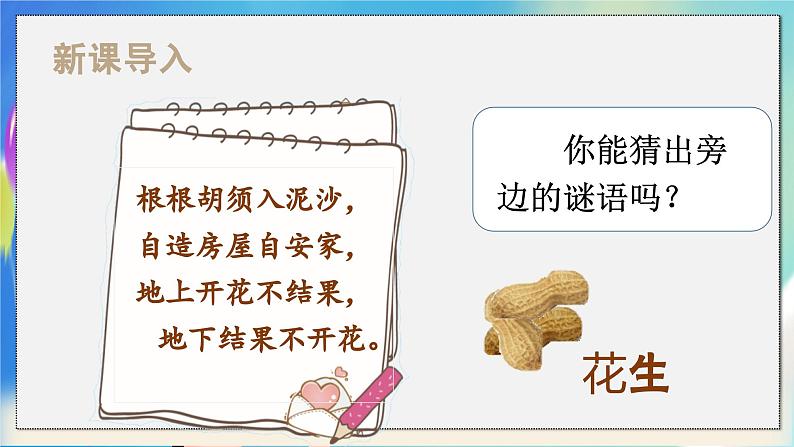 (教学课件)2.落花生第1页