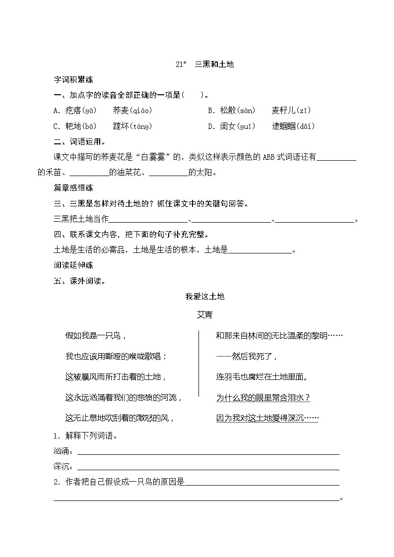 21《三黑和土地》课时测评第1页