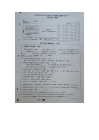 云南省玉溪市红塔区乡镇小学联考2022-2023学年四年级下学期期中语文试题